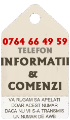 comenzi telefonice